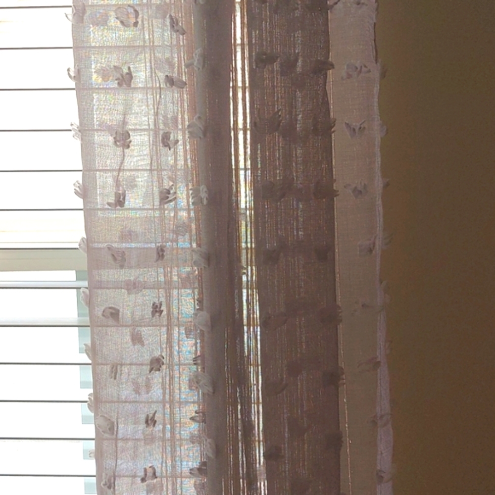 Curtain - Picture 5 of 5